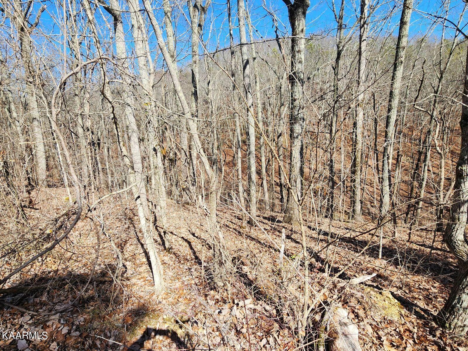 175 Lawhon Farm Road Loudon, TN 37774 - Photo 12 of 13 12