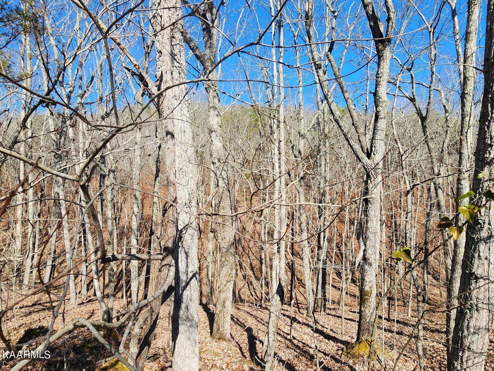 175 Lawhon Farm Road Loudon, TN 37774 - Photo 13 of 13 13