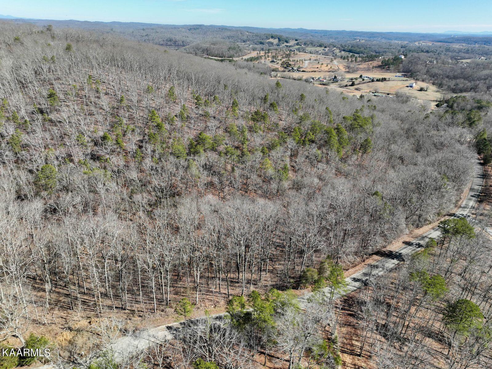 175 Lawhon Farm Road Loudon, TN 37774 - Photo 8 of 13 8