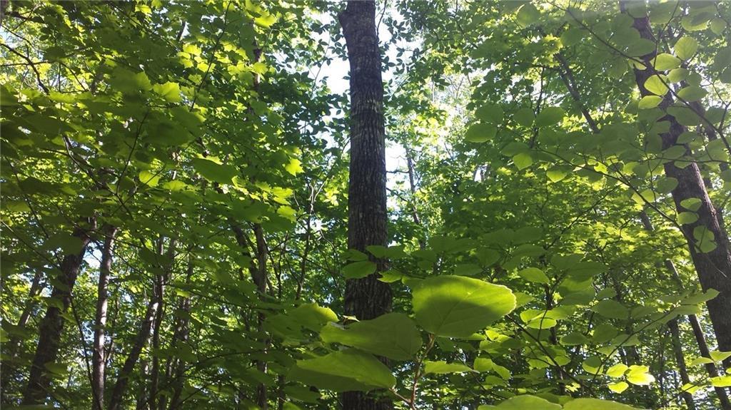 0 Sodom Road Buckfield, ME 04220 - Photo 25 of 27 Photo