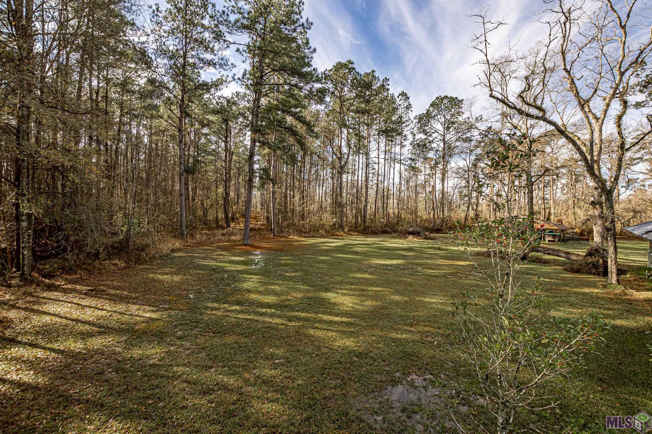 30445 Hubert Stilley Road Independence, LA 70443 - Photo 33 of 41 Gallery Image 33
