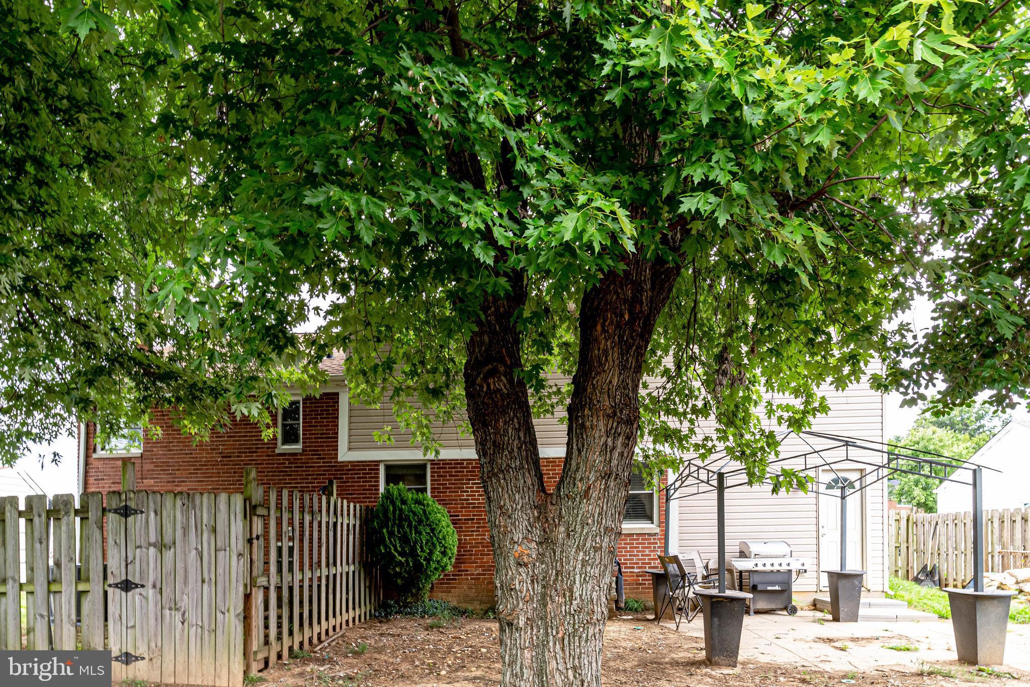 5806 Channing Road Springfield, VA 22150 - Photo 54 of 56