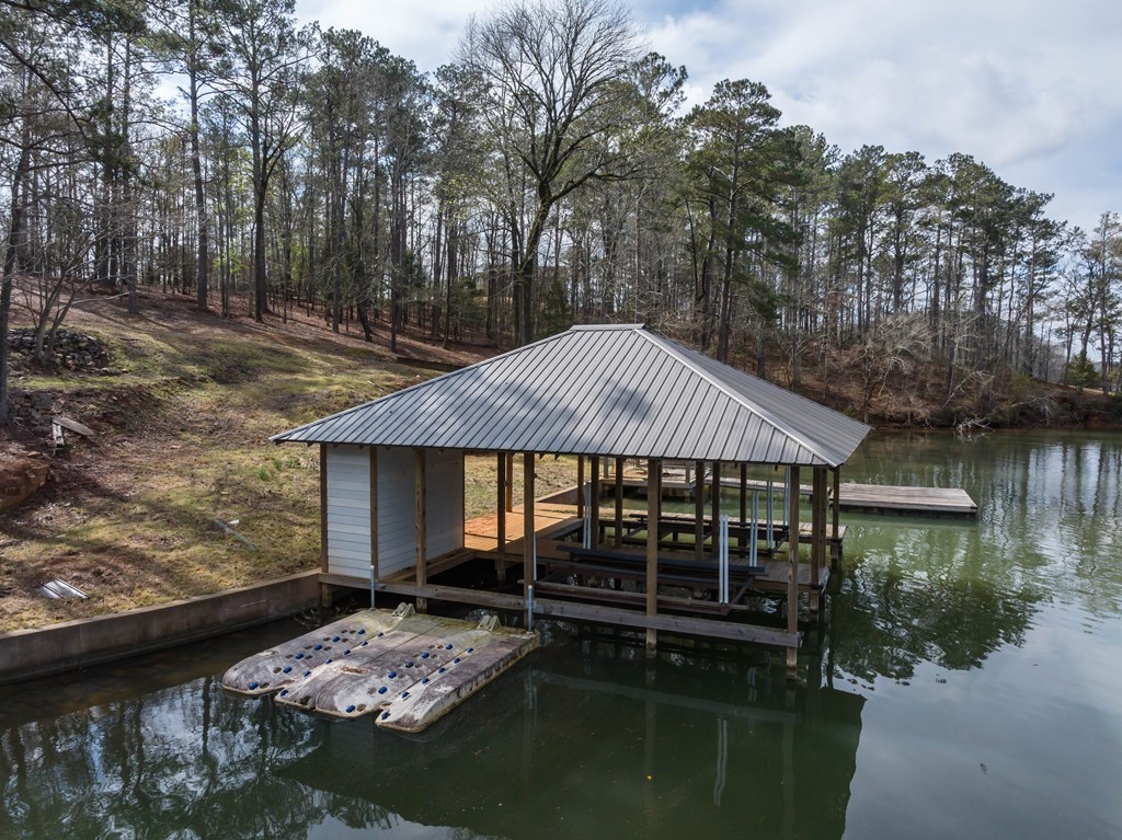 350 Pinetree Road Hamilton, GA 31811 - Photo 8 of 16 Gallery Image 8