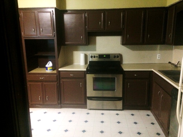 4610 Fortune Hole Road East Hamilton, GA 31811 - Photo 12 of 20 Kitchen
