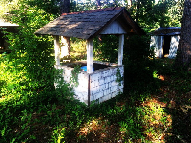 4610 Fortune Hole Road East Hamilton, GA 31811 - Photo 18 of 20 Old Well