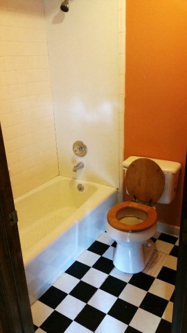 4610 Fortune Hole Road East Hamilton, GA 31811 - Photo 7 of 20 Master Bath