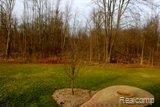 48800 Saltz-private Drive Road Clinton Township, MI 48038 - Photo 24 of 25 IMG_1224.JPG
