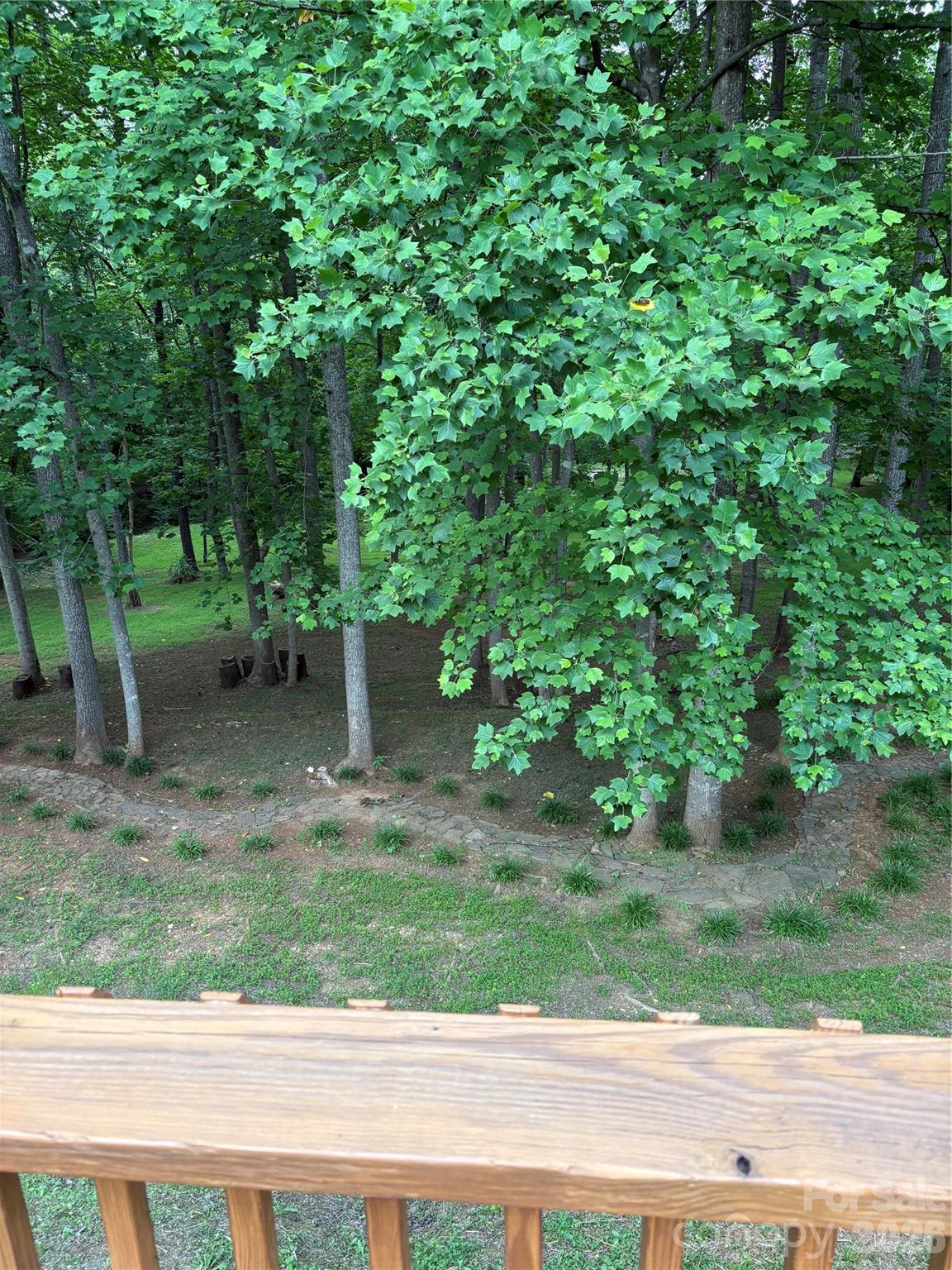125 Lane Street Morganton, NC 28655 - Photo 5 of 19