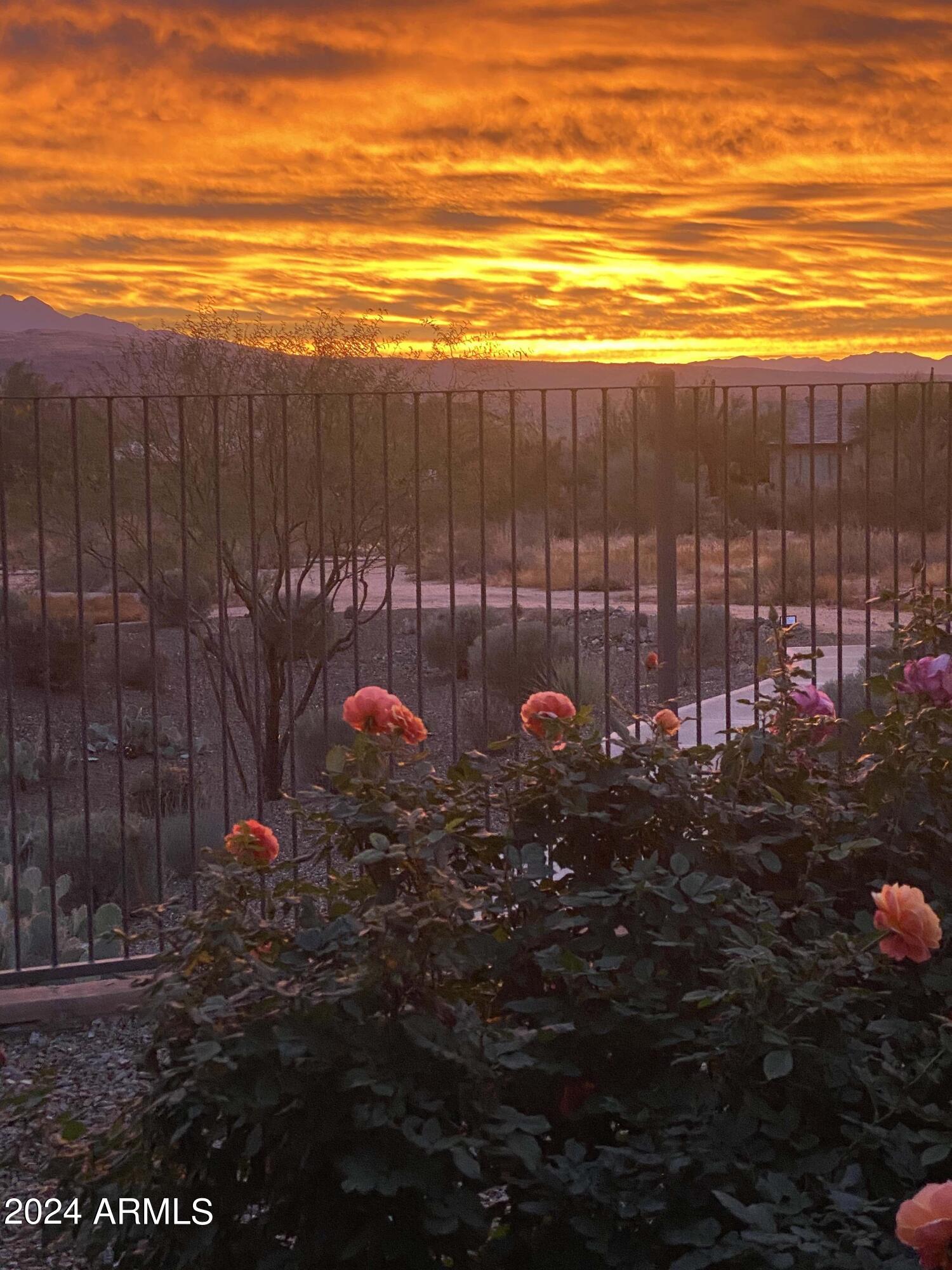 17795 East StockingTrail Rio Verde, AZ 85263 - Photo 45 of 52 Roses at sunrise