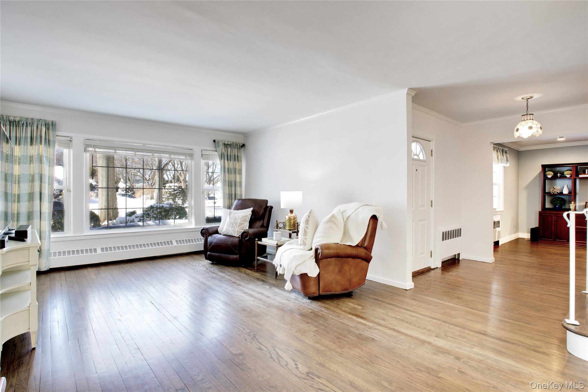 27 Avalon Road Garden City, NY 11530 - Photo 12 of 31 Spacious and sunlit living room with large windows