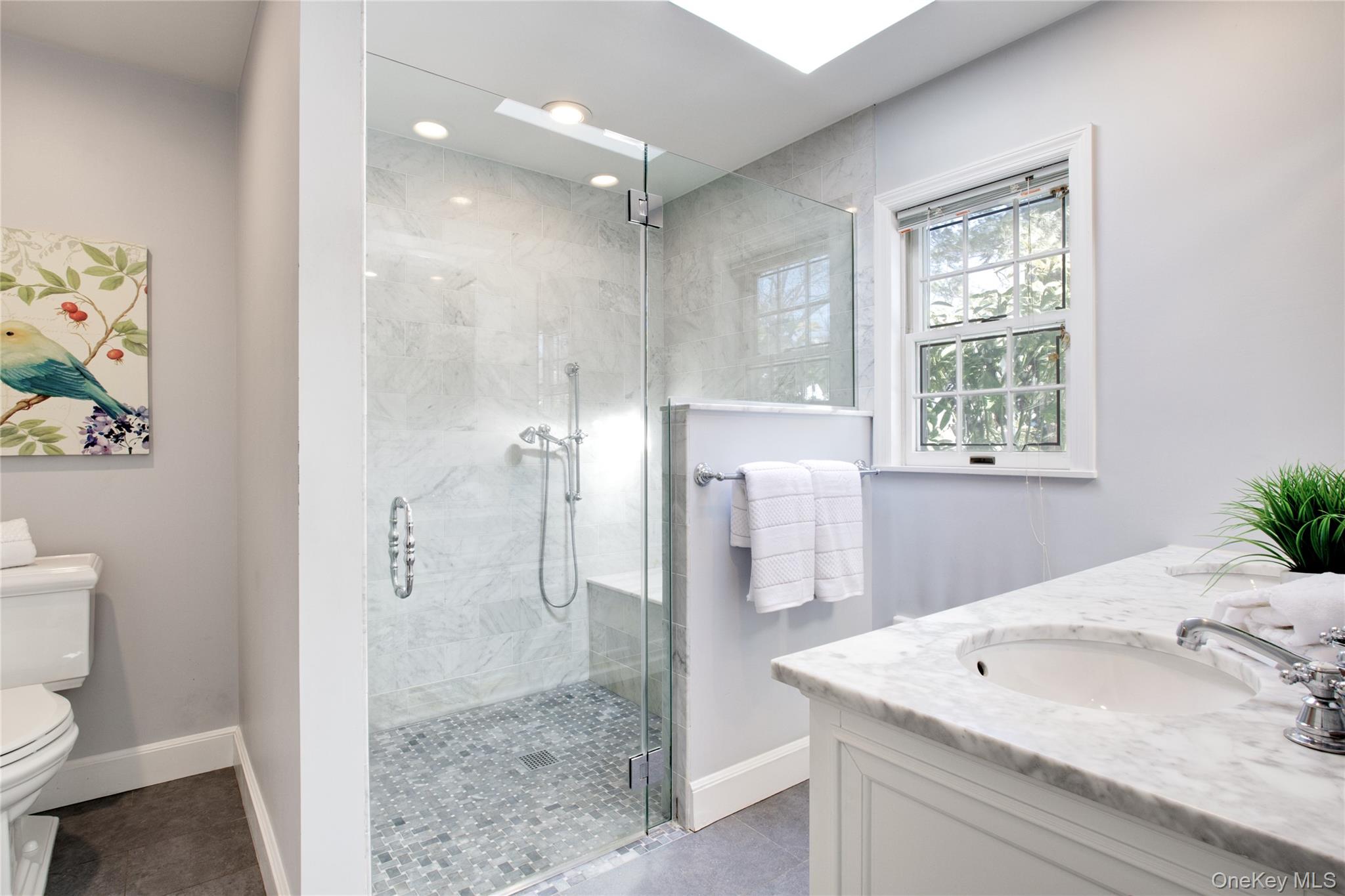 27 Avalon Road Garden City, NY 11530 - Photo 16 of 31 Renovated Primary Bathroom with skylight, 6 ft. shower and double sink vanity