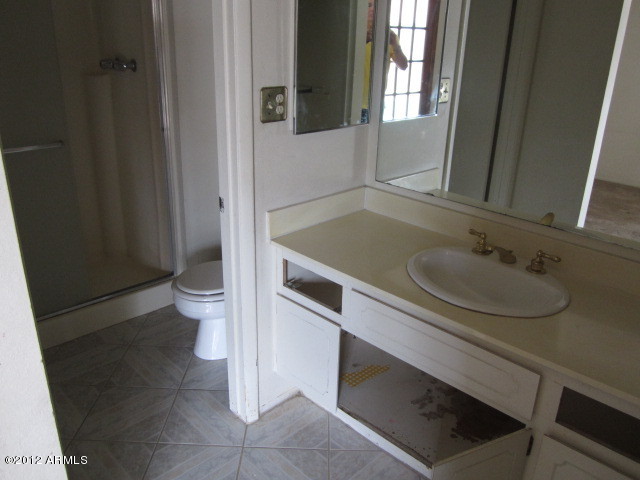 4315 East Vineyard Road Phoenix, AZ 85042 - Photo 24 of 25 Large master bath