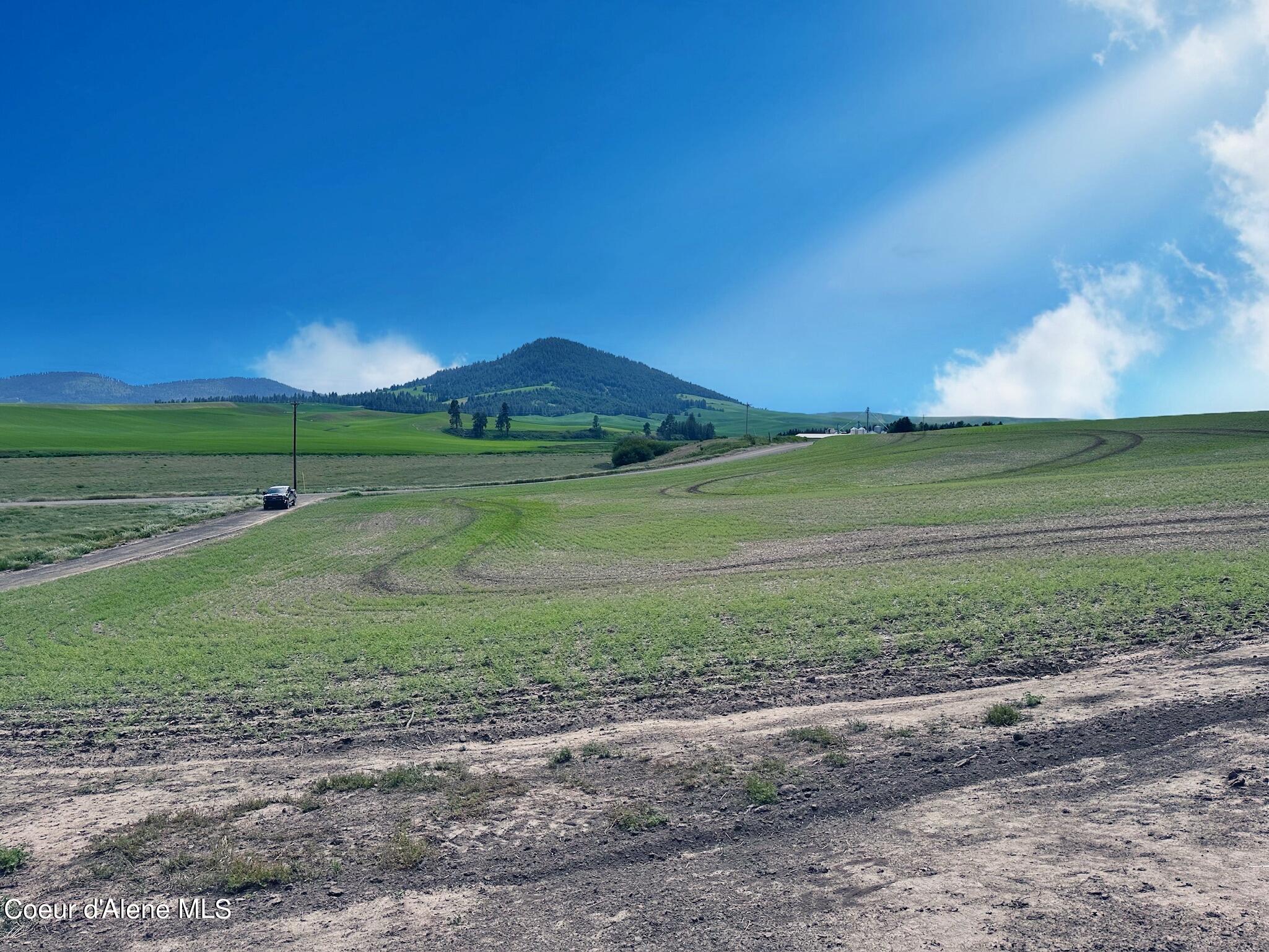 2915 Hangman Creek Road Tensed, ID 83870 - Photo 14 of 24 10 acres w/ building site, well & more