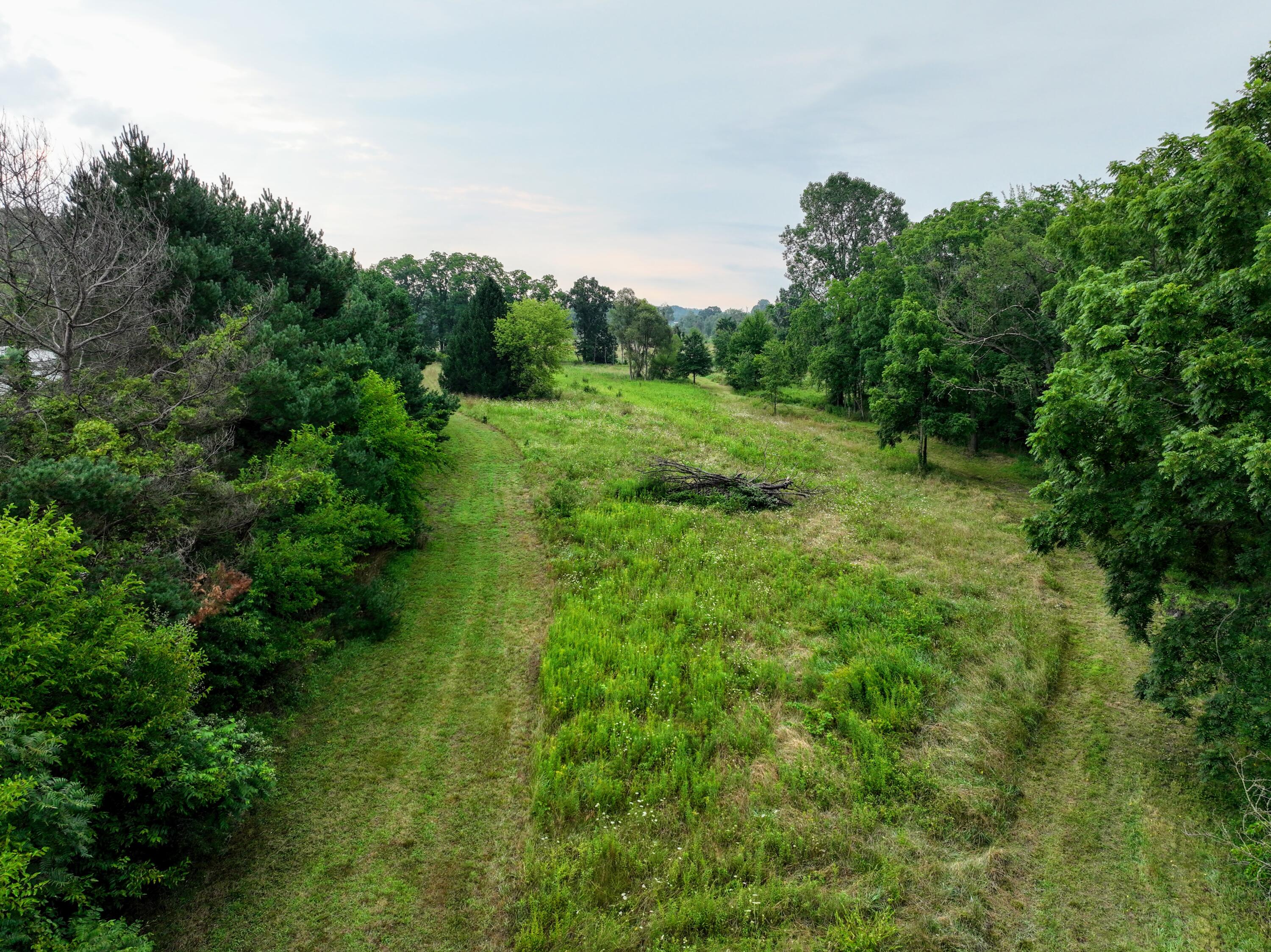 Vl Burlington Road Marcellus, MI 49067 - Photo 20 of 42 21