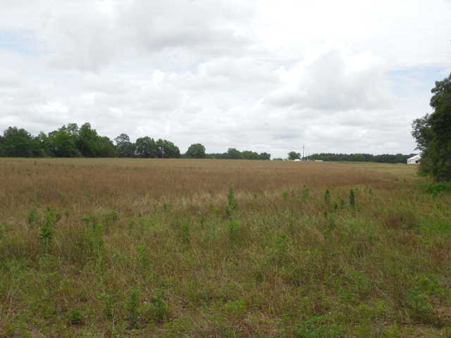 7.8-acres Hardy Road Dothan, AL 36301 - Photo 1 of 1