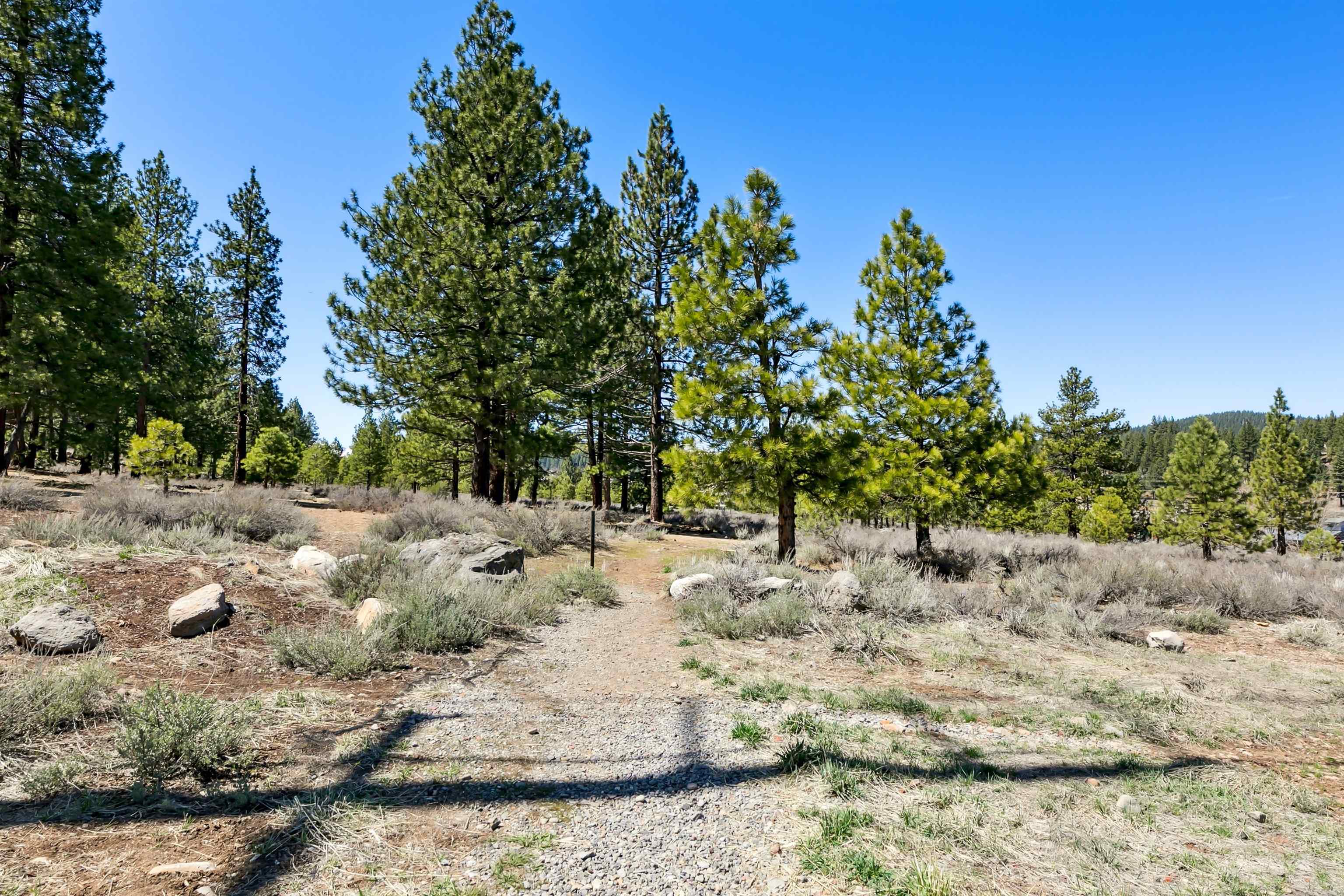 10096 Nicolas Drive, Unit C Truckee, CA 96161 - Photo 22 of 22 a view of a yard with trees