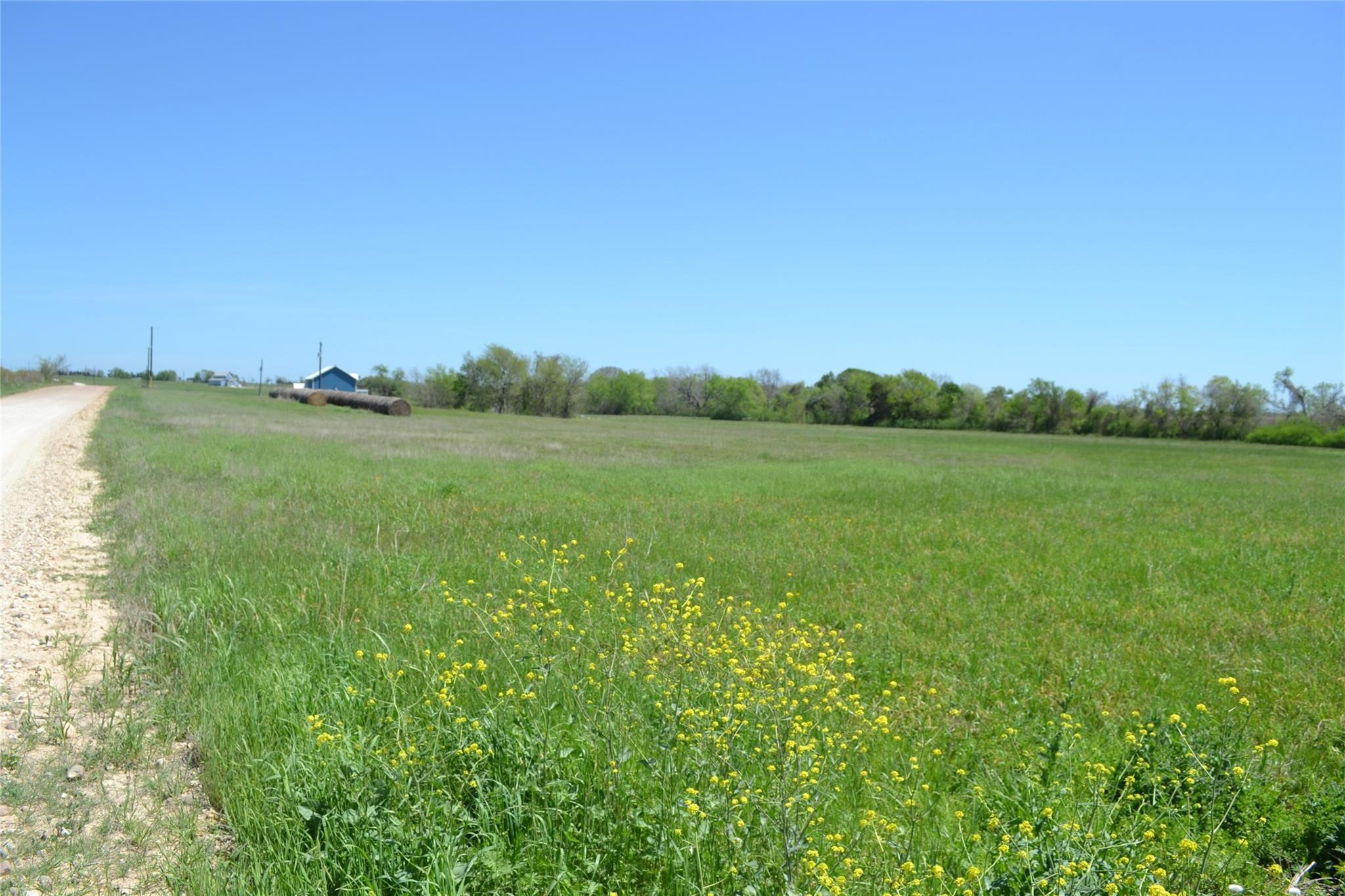 5568 Bleiblerville Road Bleiblerville, TX 78931 - Photo 2 of 12
