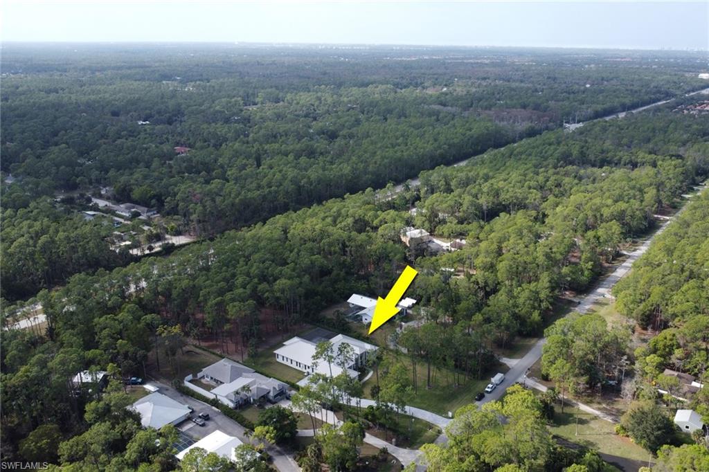 5174 Sycamore Drive Naples, FL 34119 - Photo 47 of 50 a view of a forest with a swimming pool