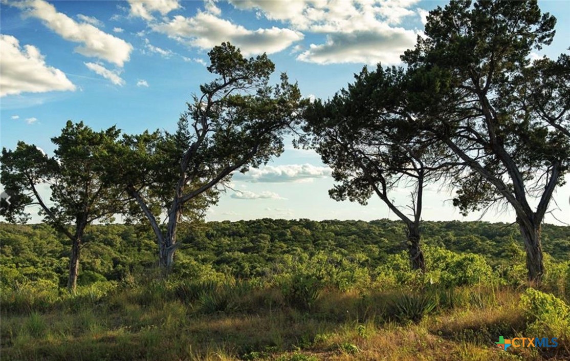 5945 Galveston Road Belton, TX 76513 - Photo 29 of 29
