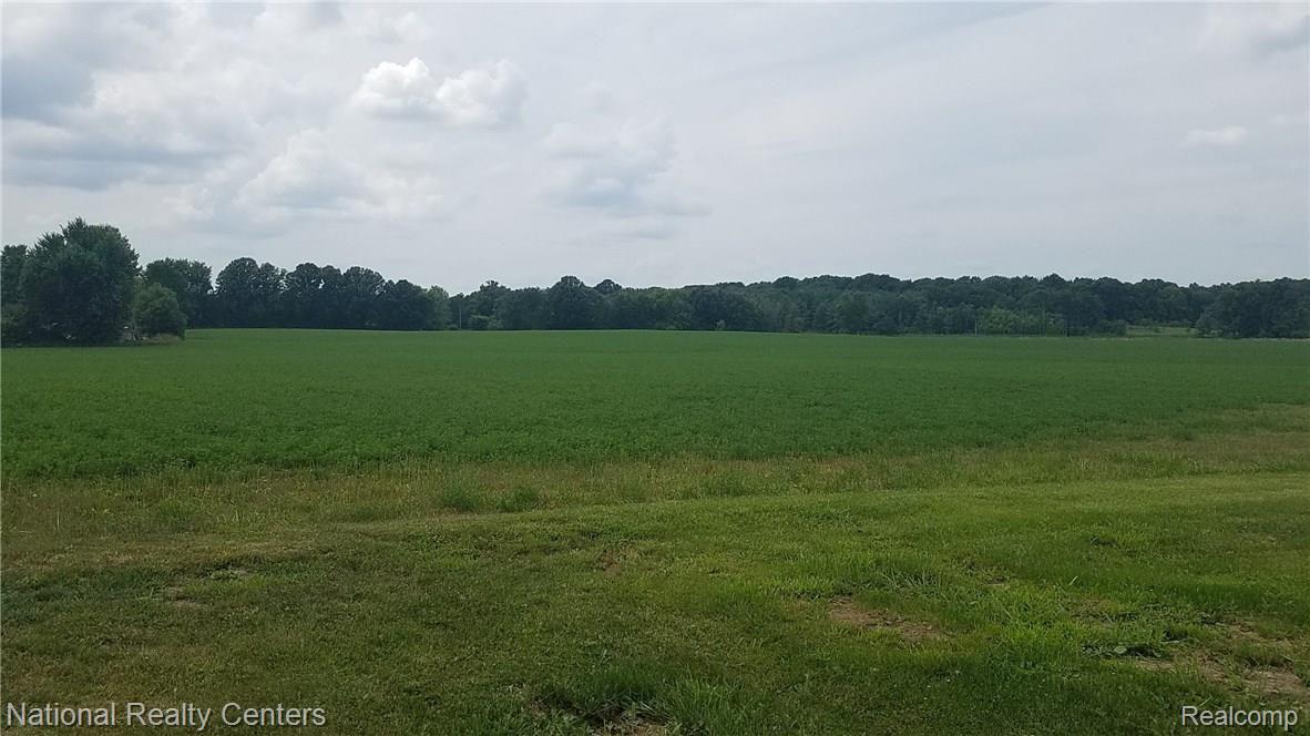 1234 Morris Road Lapeer, MI 48446 - Photo 13 of 30 View of your neighbors in back