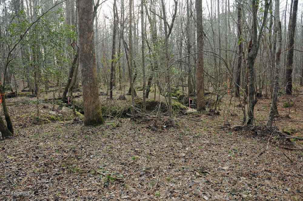0 West Old Spring Hope Road Middlesex, NC 27557 - Photo 5 of 6 roy's4