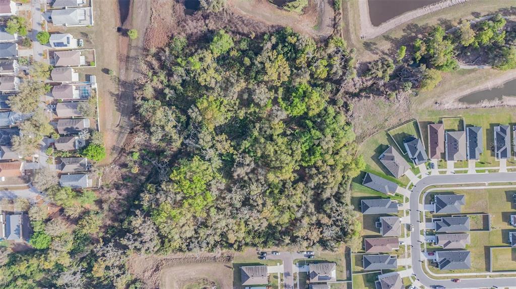 Miracle Mile Riverview, FL 33578 - Photo 1 of 20
