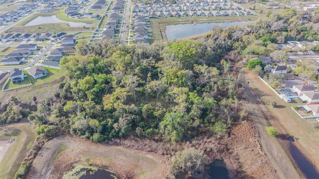 Miracle Mile Riverview, FL 33578 - Photo 3 of 20