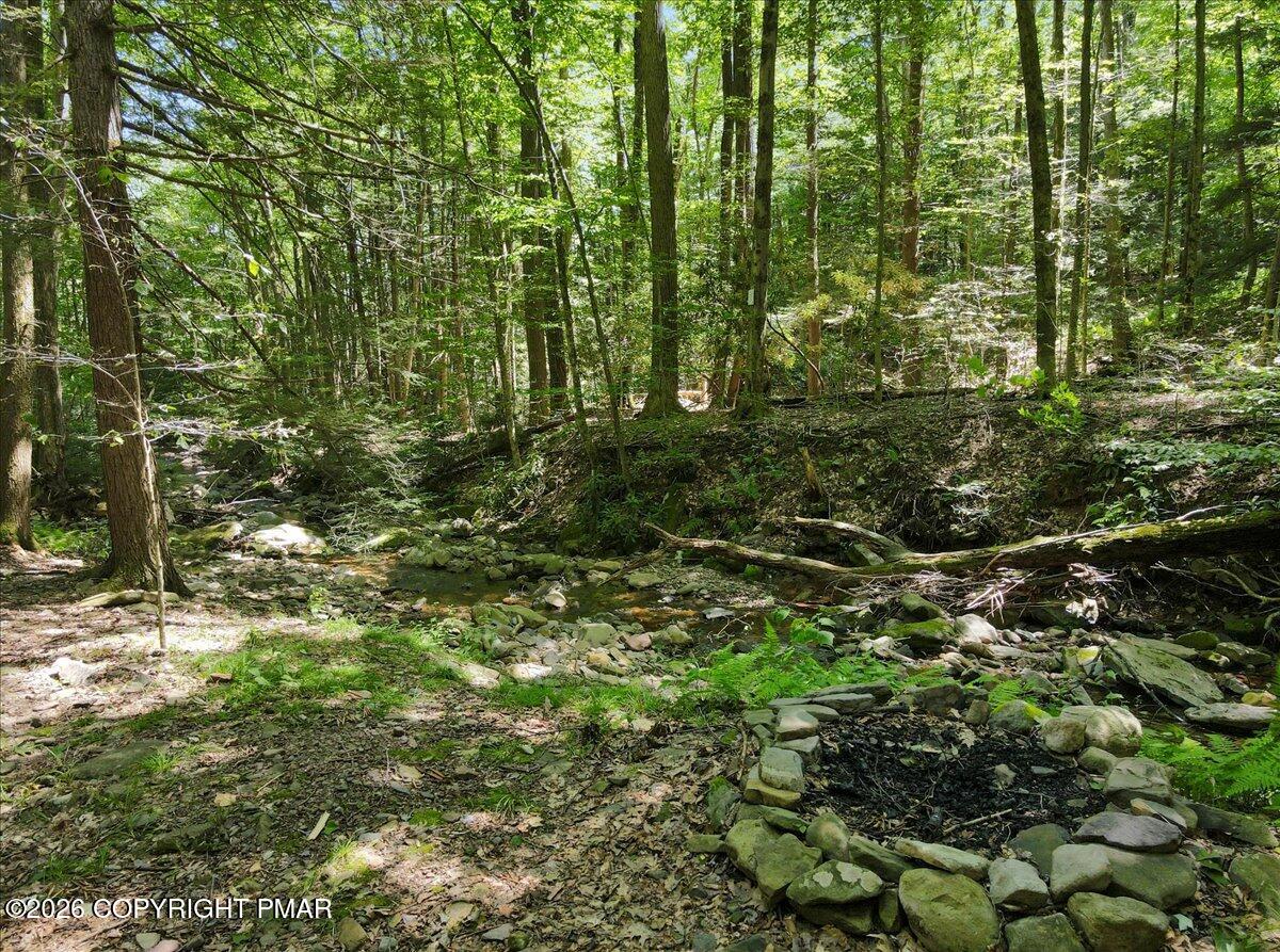 468 Devils Hole Road Tobyhanna, PA 18466 - Photo 31 of 32 48-Photo Jul 03 2024, 2 34 35 PM