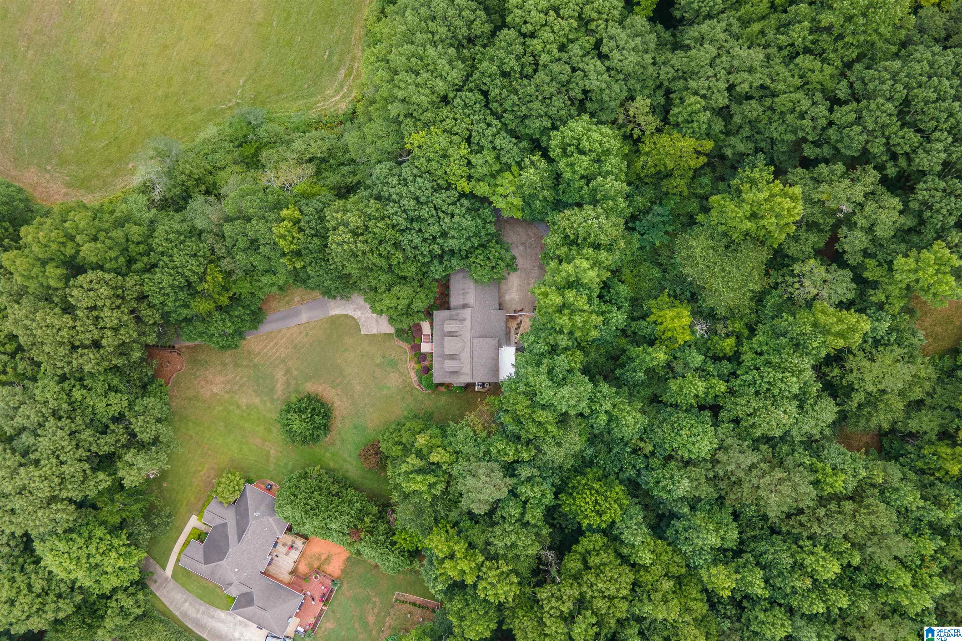 9780 Old Springville Road Trussville, AL 35173 - Photo 44 of 46