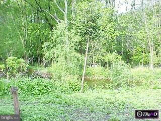 304 Upper Stump Road Chalfont, PA 18914 - Photo 4 of 6 a view of a garden