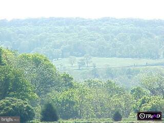304 Upper Stump Road Chalfont, PA 18914 - Photo 5 of 6 a view of a lush green field