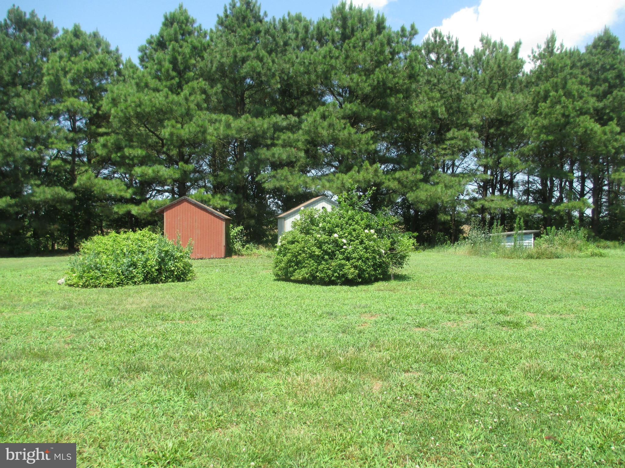 6521 Bailey Store Road Federalsburg, MD 21632 - Photo 9 of 10 View