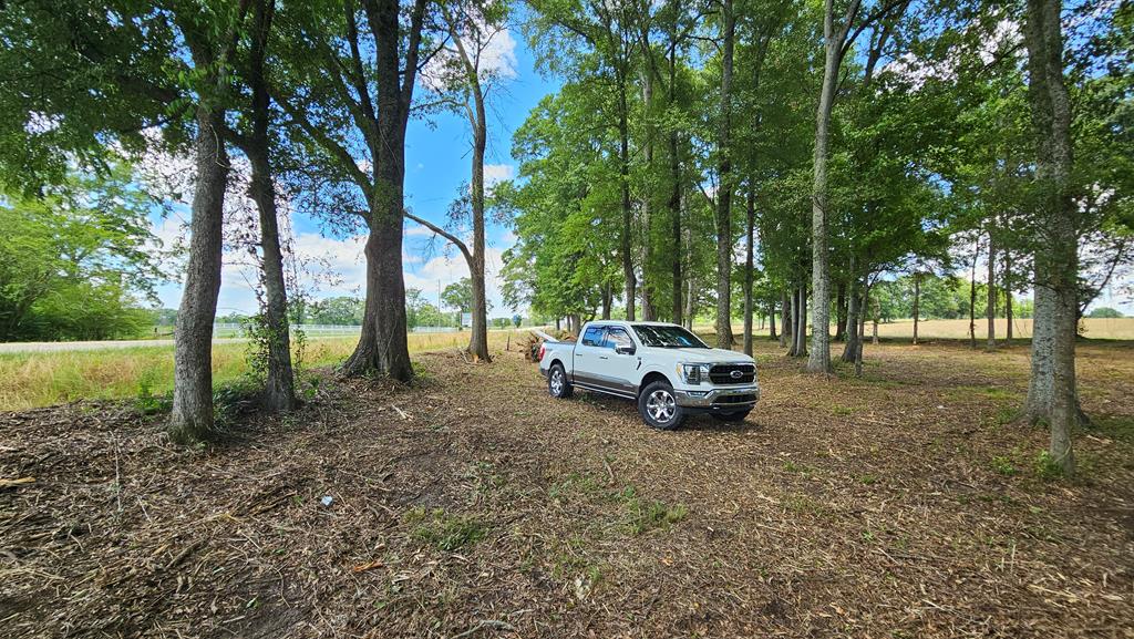 92 County Road 92 Slocomb, AL 36375 - Photo 40 of 58