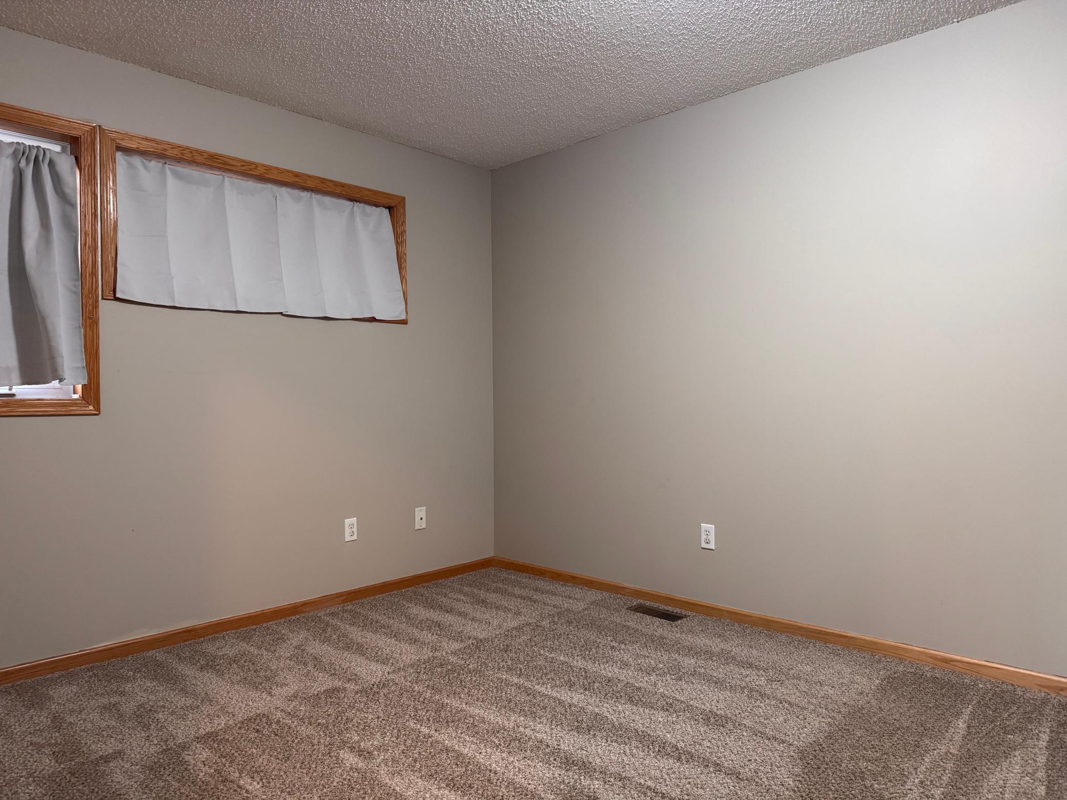942 Crossing Way Delano, MN 55328 - Photo 9 of 14