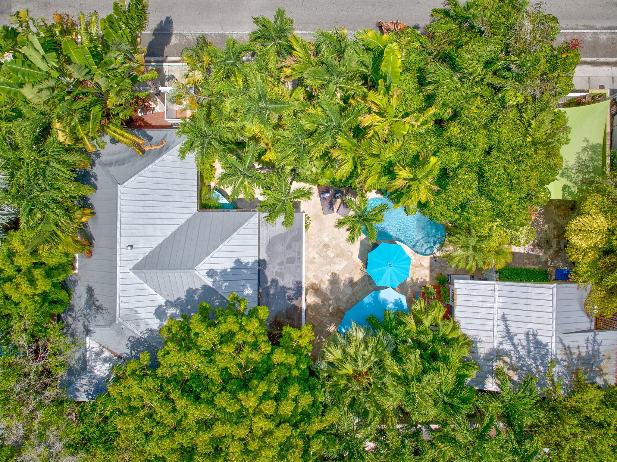 1501 White Street Key West, FL 33040 - Photo 1 of 49 a backyard of a house with a garden and plants