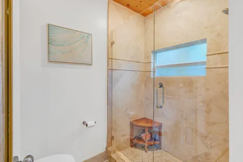 a bathroom with a shower and a toilet