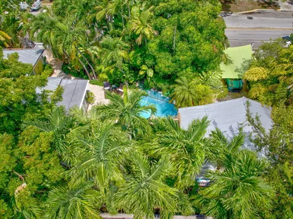 a view of a garden with plants