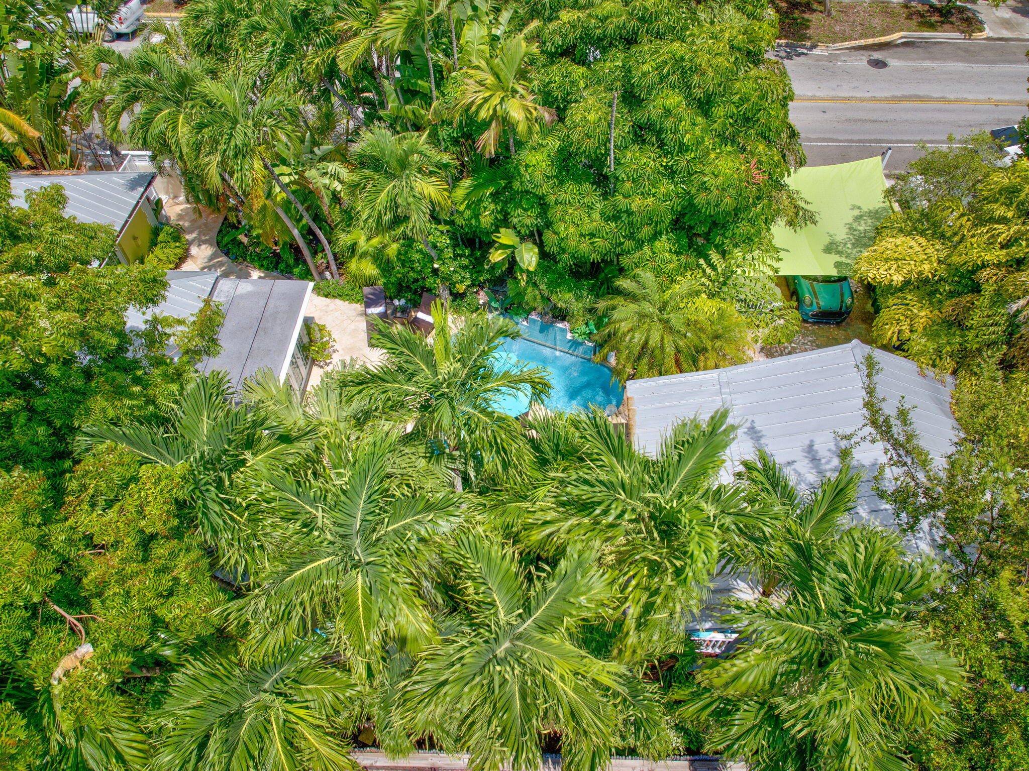 1501 White Street Key West, FL 33040 - Photo 26 of 49 a view of a garden with plants