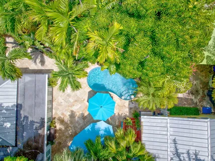 a view of a yard