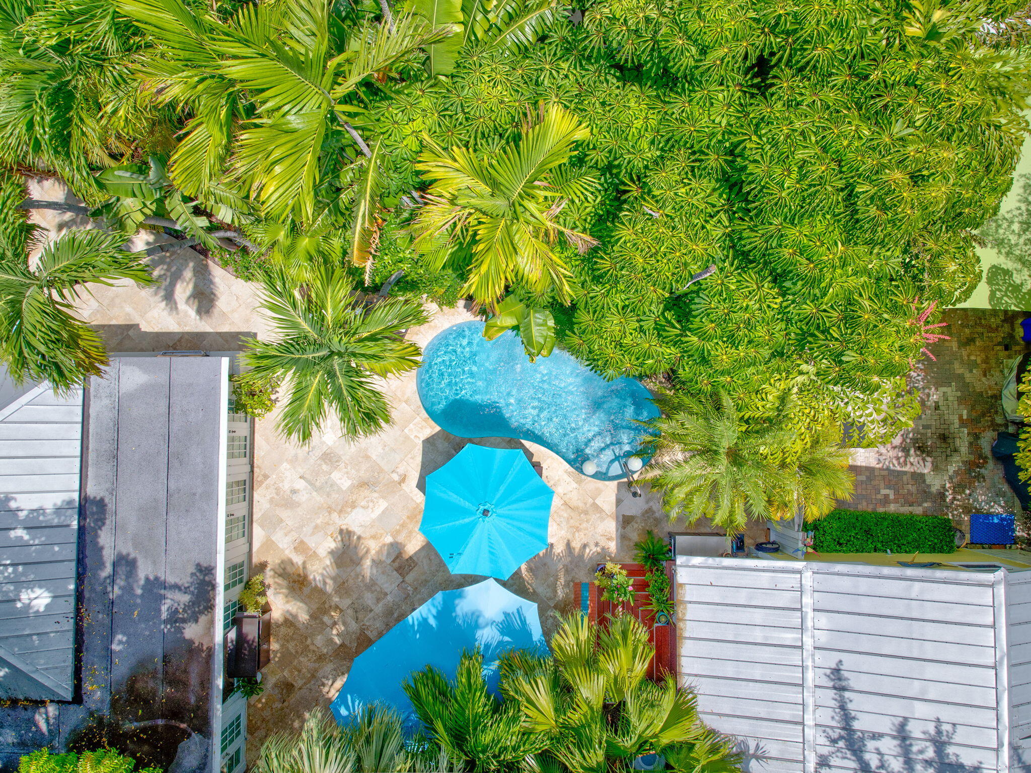 1501 White Street Key West, FL 33040 - Photo 27 of 49 a view of a yard
