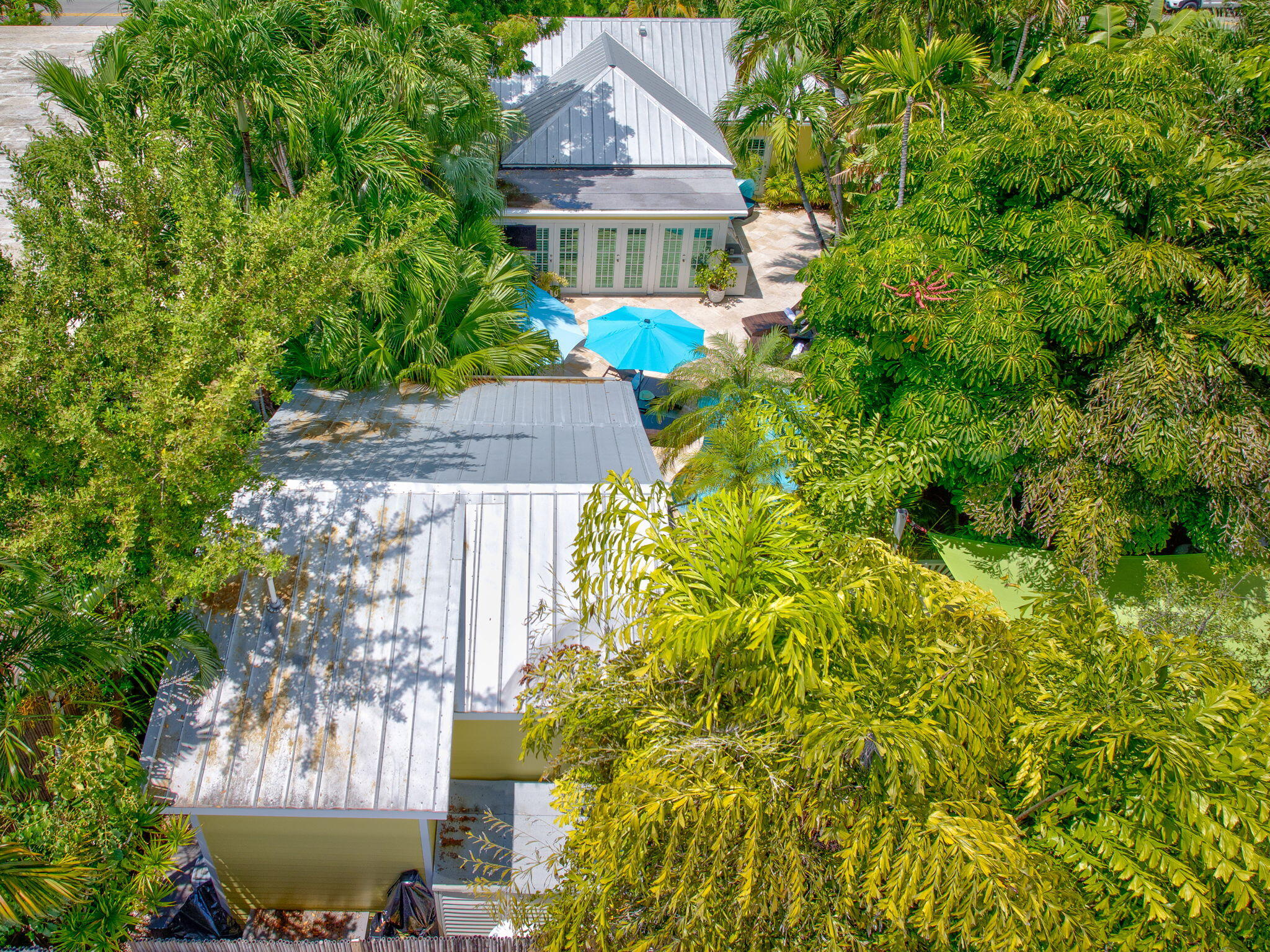 1501 White Street Key West, FL 33040 - Photo 33 of 49 a aerial view of a house with swimming pool and large trees