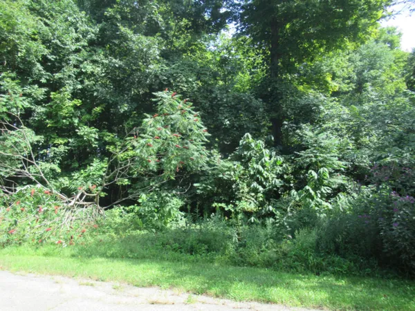 $49,000 | 7 Brookside Court, Cassopolis, MI 49031