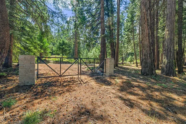 a view of a yard with a tree