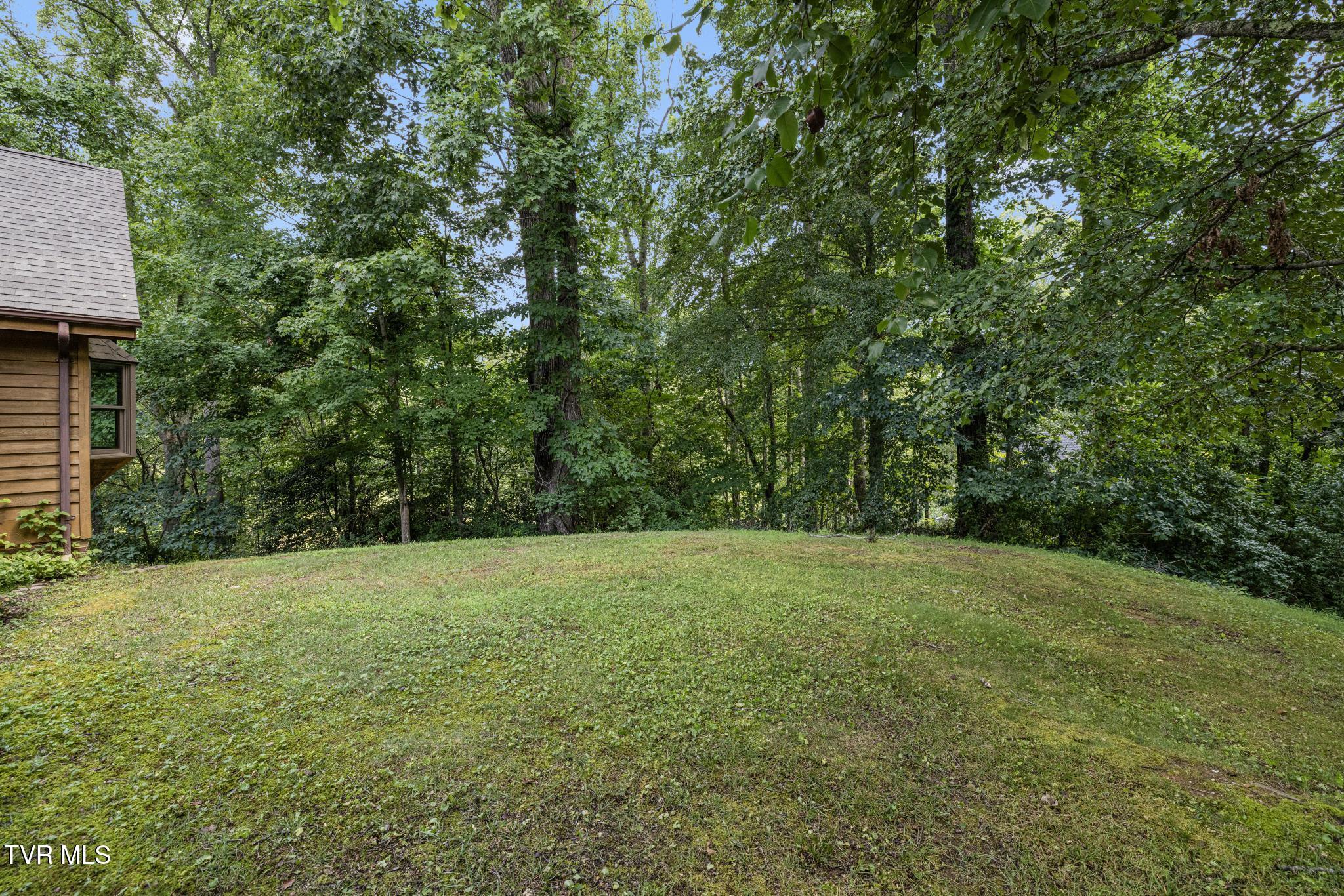 2019 Ridge View Drive Big Stone Gap, VA 24219 - Photo 68 of 85 IMG_6999