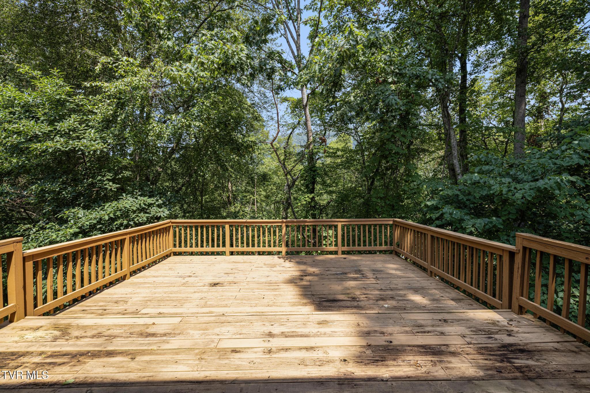 2019 Ridge View Drive Big Stone Gap, VA 24219 - Photo 70 of 85 IMG_7001