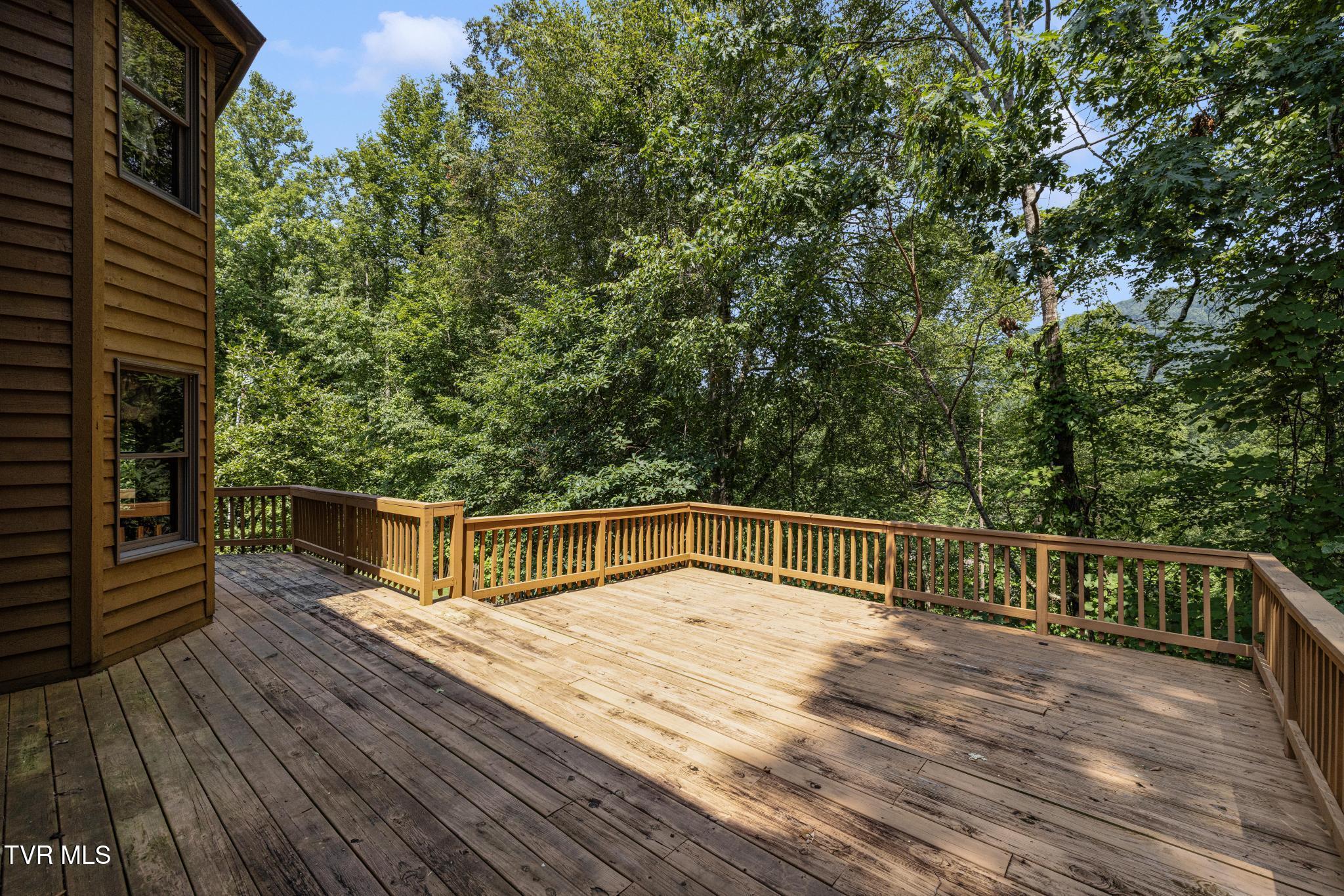 2019 Ridge View Drive Big Stone Gap, VA 24219 - Photo 71 of 85 IMG_7002