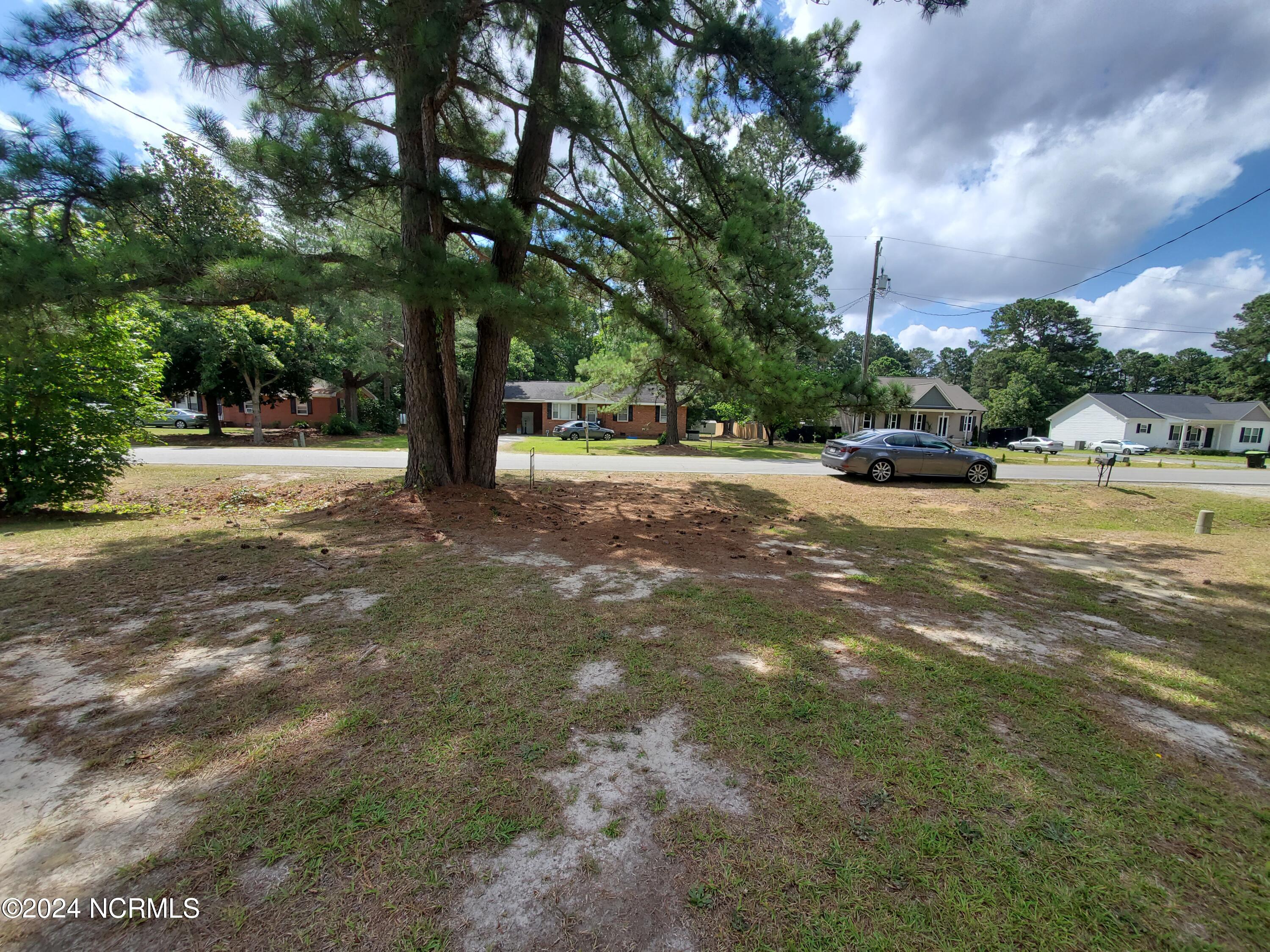 0 Airport Road Pikeville, NC 27863 - Photo 3 of 5 20240620_105420