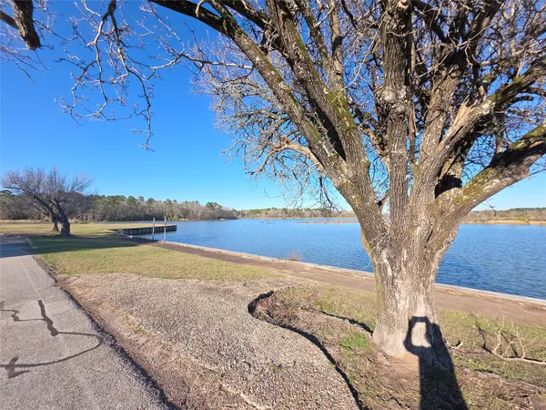 a view of a yard with an outdoor space