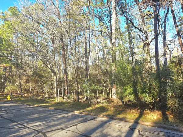 a view of yard with tree s