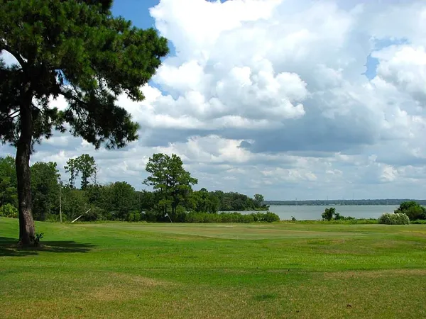 a view of a grassy field with trees